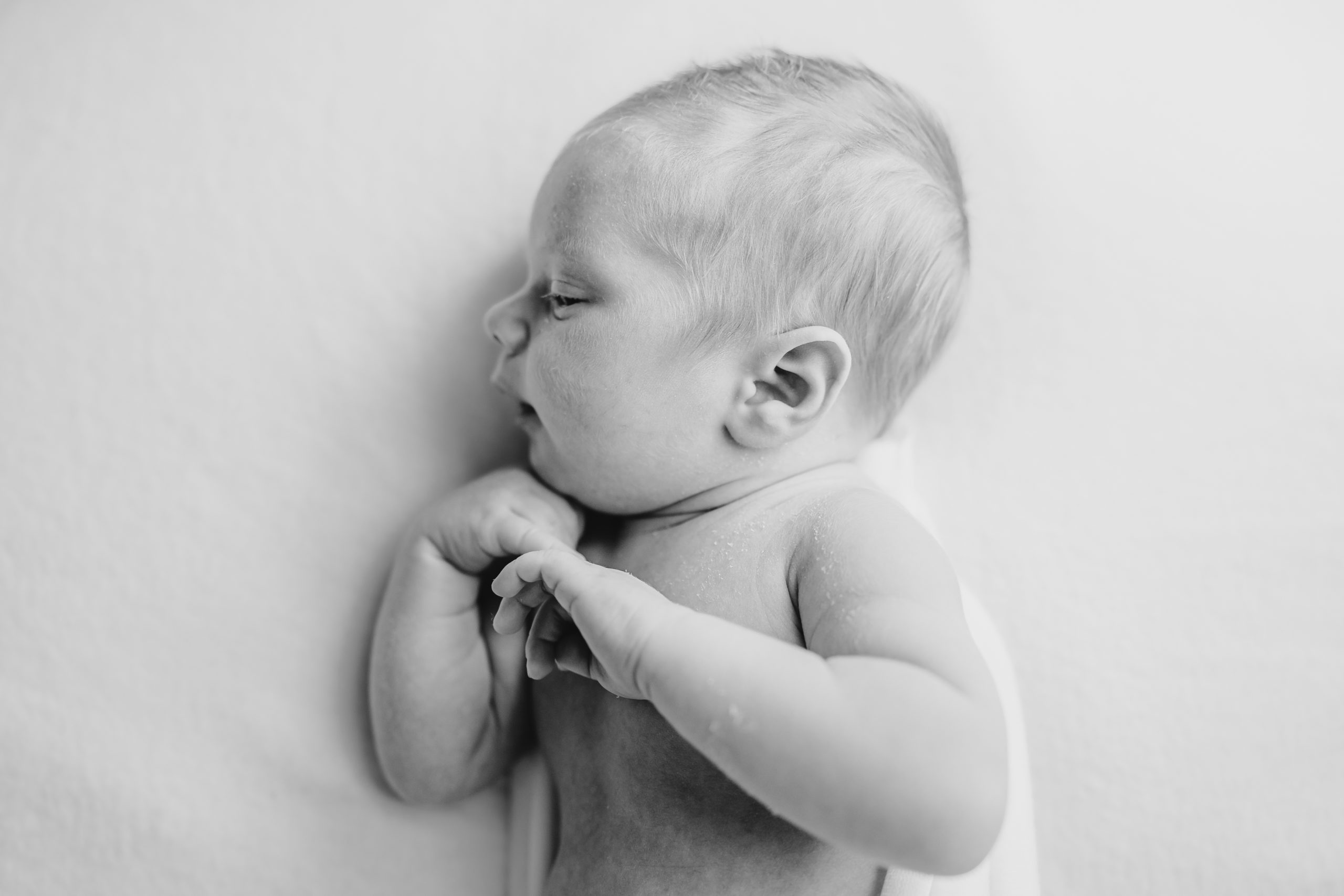 newborn session in knoxville photography studio