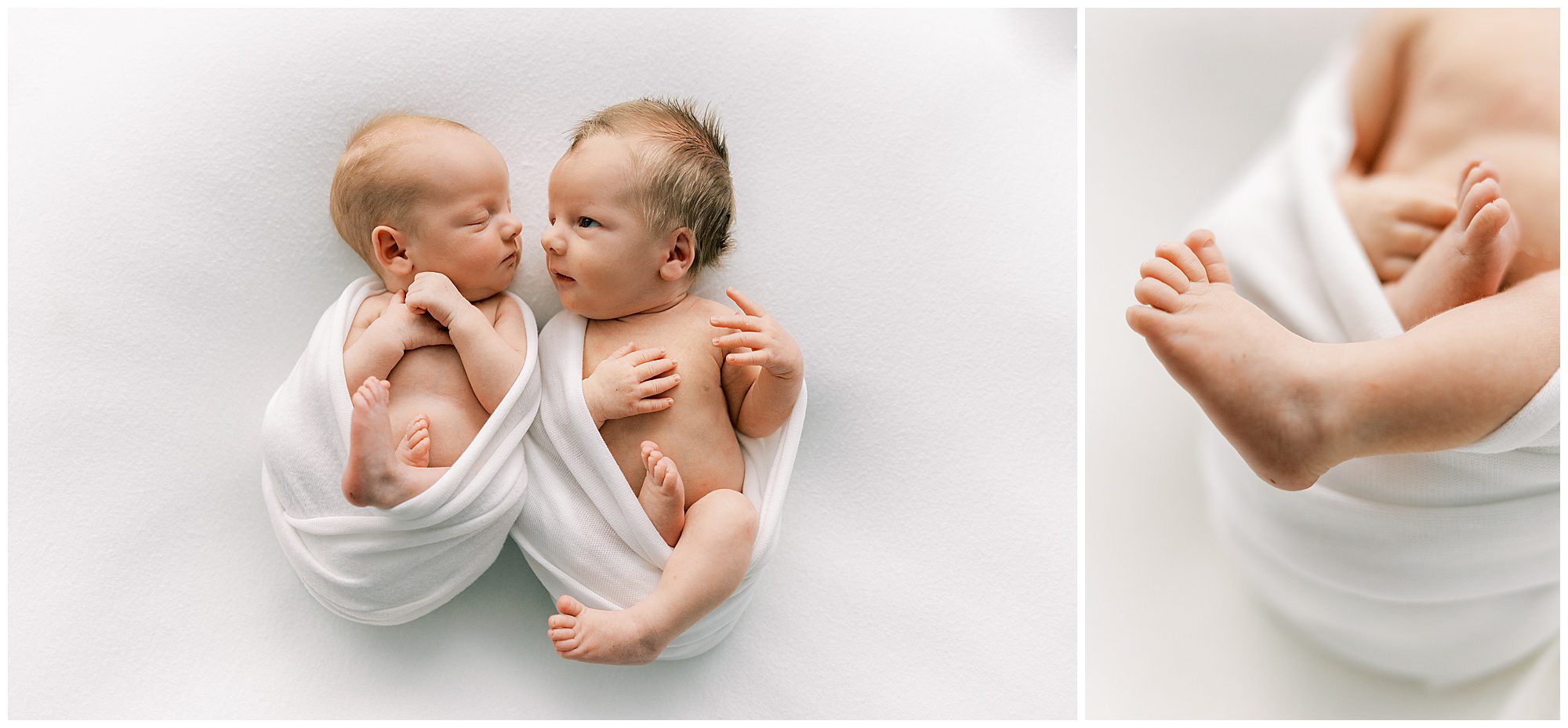 twin newborn session at the white room