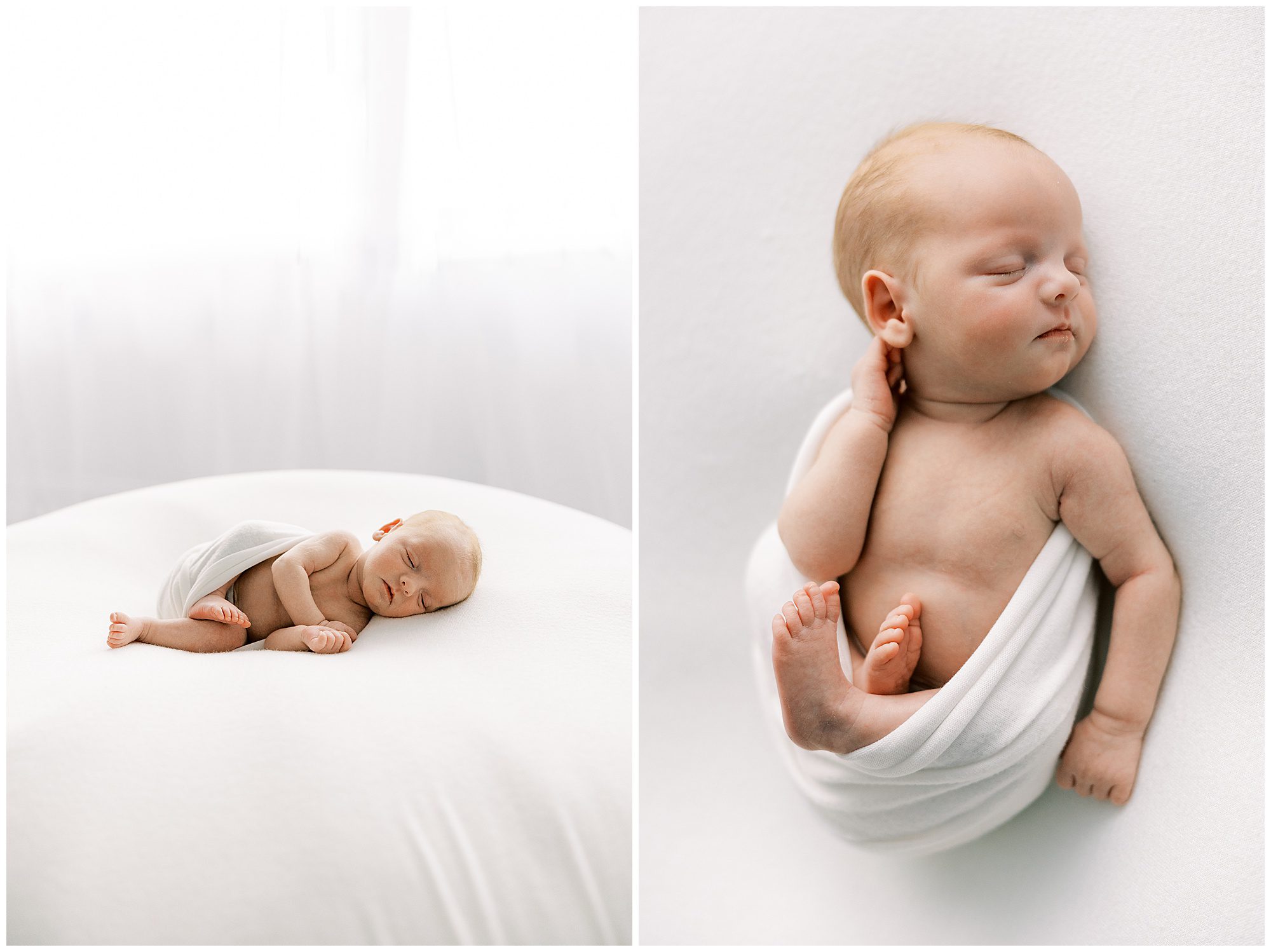 knoxville newborn session with sister and two babies