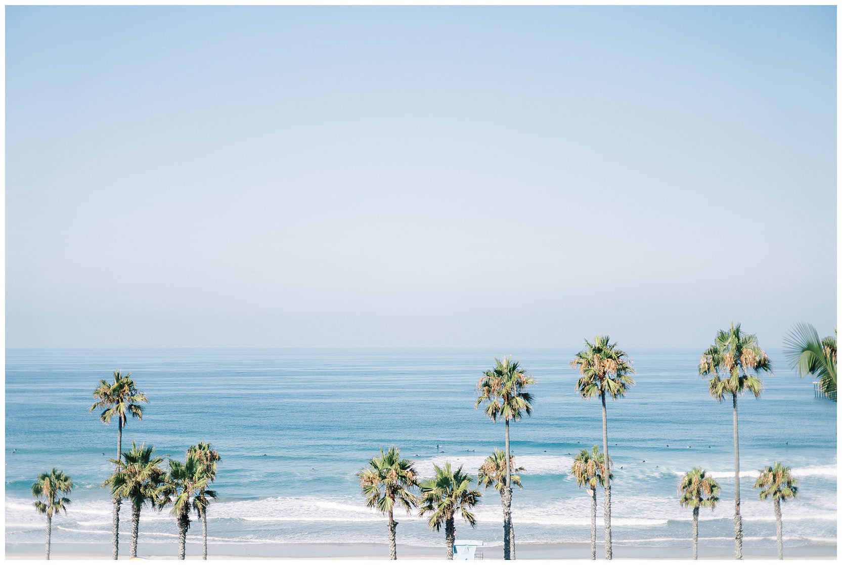 photo of palm trees at beach in california