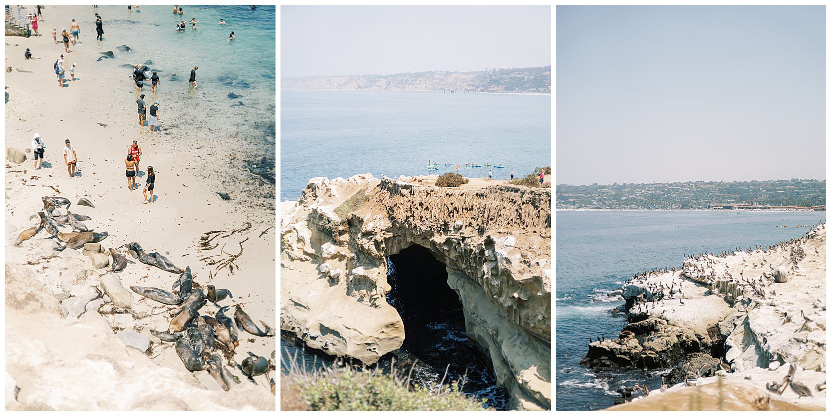 cliffs and ocean scenery in california