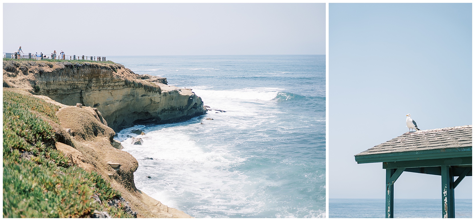 beach scenery in califnornia