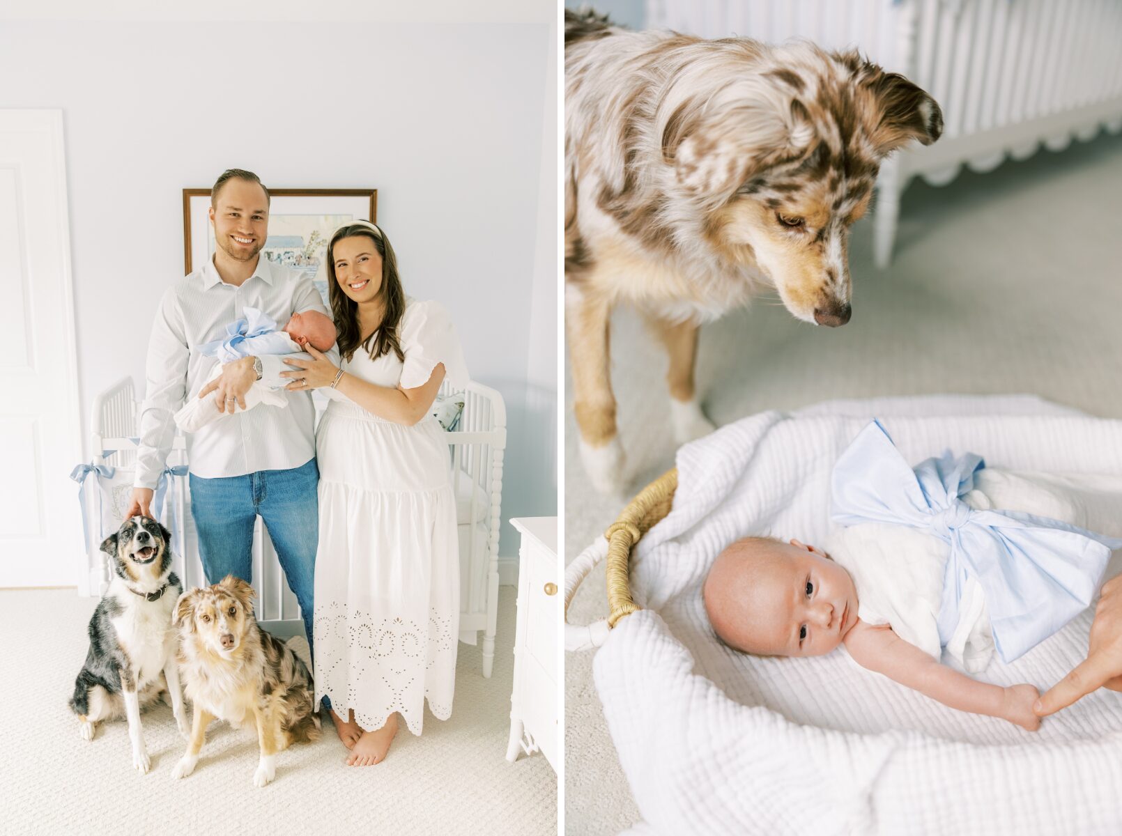 family smiling at camera, dog hovering over baby
