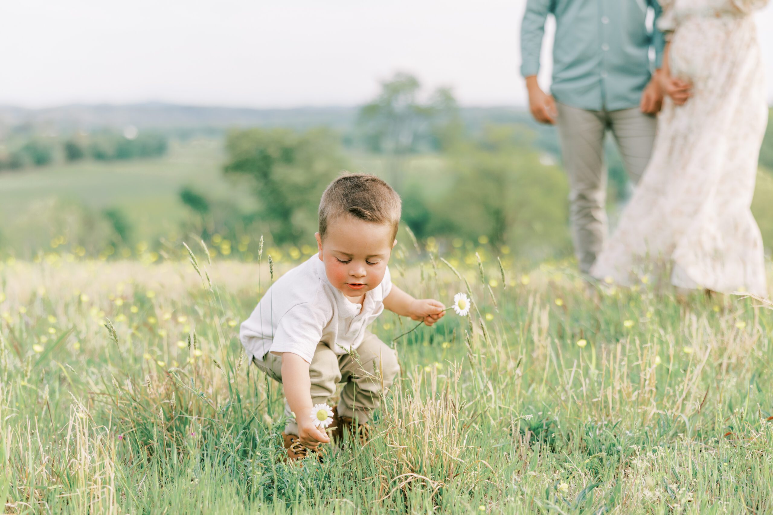 family on the hill, little boy picking weeds